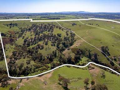 Farm For Sale - VIC - Forbes - 3764 - On the Edge of Kilmore  (Image 2)