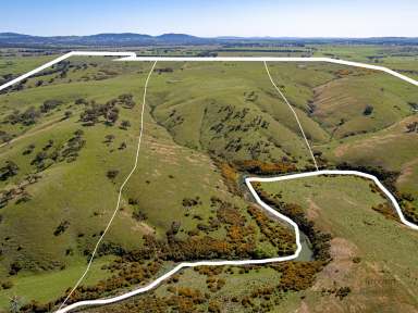 Farm For Sale - VIC - Forbes - 3764 - On the Edge of Kilmore  (Image 2)