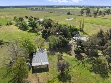 Farm For Sale - VIC - Invergordon - 3636 - "Avonleigh" 72 Acres of Rural Opportunity  (Image 2)