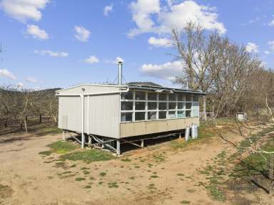 Farm For Sale - VIC - Strathbogie - 3666 - "Walnut Grove" Strathbogie  (Image 2)