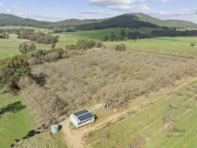 Farm For Sale - VIC - Strathbogie - 3666 - "Walnut Grove" Strathbogie  (Image 2)