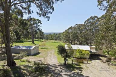 Farm For Sale - VIC - Caveat - 3660 - Abundance of Serenity & Potential  (Image 2)