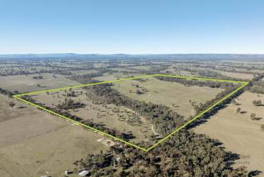 Farm For Sale - VIC - Molka - 3666 - A Beautiful Lifestyle, Grazing or Cropping  (Image 2)