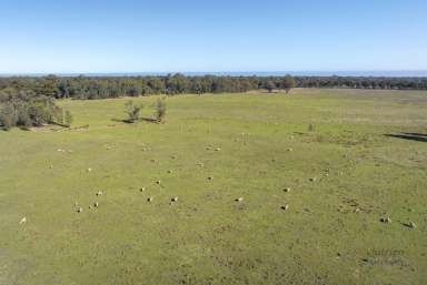 Farm For Sale - VIC - Molka - 3666 - A Beautiful Lifestyle, Grazing or Cropping  (Image 2)