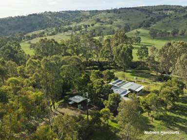 Farm For Sale - VIC - Euroa - 3666 - 'Hawkridge' - Secluded Serenity  (Image 2)