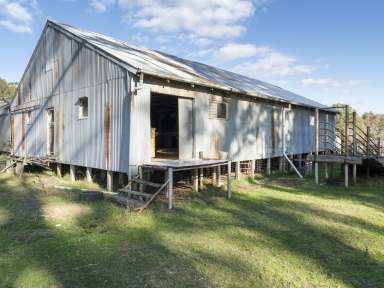 Farm For Sale - VIC - Marraweeney - 3669 - An Opportunity Awaits to Create a Highly Productive Property  (Image 2)