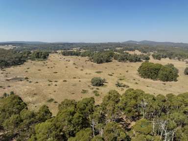 Farm For Sale - VIC - Marraweeney - 3669 - Stunning Natural Beauty Providing Breathtaking Views  (Image 2)