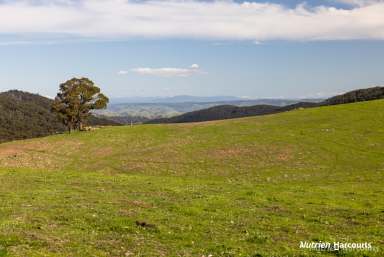 Farm For Sale - VIC - Strathbogie - 3666 - Breathtaking Views & An Opportunity Not To Be Missed  (Image 2)