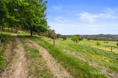 Farm For Sale - VIC - Steels Creek - 3775 - Secluded Bushland Retreat on 9.9 Acres Approx.  (Image 2)