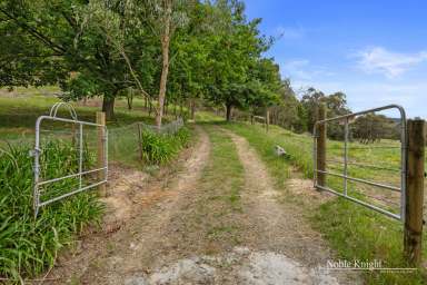 Farm For Sale - VIC - Steels Creek - 3775 - Secluded Bushland Retreat on 9.9 Acres Approx.  (Image 2)