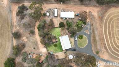 Farm For Sale - VIC - Lower Norton - 3401 - Home On 40 Acres  (Image 2)