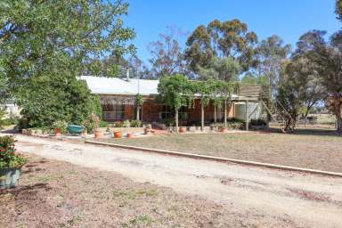 Farm For Sale - VIC - Beverford - 3590 - Lifestyle On The River  (Image 2)