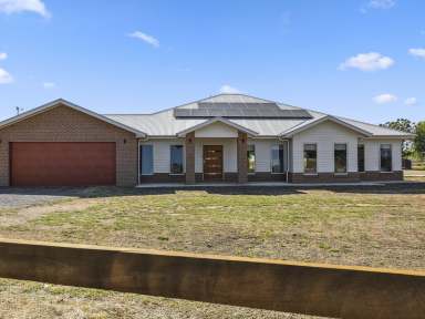 Farm For Sale - NSW - Barooga - 3644 - Stunning Lifestyle Property on 2 Acres!  (Image 2)