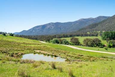 Farm For Sale - NSW - Ournie - 2640 - Rural Property with hill and Vehicle Tracks 114.22*HA / 282.24*Acres  (Image 2)