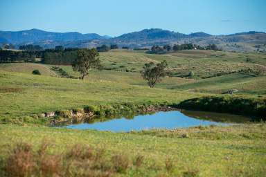 Farm For Sale - NSW - Toothdale - 2550 - Fairview  (Image 2)