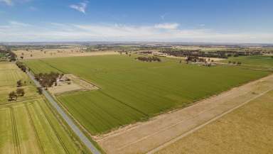 Farm For Sale - VIC - Kyabram - 3620 - Eastern Aggregation AFF Portfolio  (Image 2)