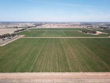 Farm For Sale - VIC - Tongala - 3621 - Northern Aggregation KAF Portfolio  (Image 2)