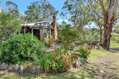 Farm For Sale - NSW - Laguna - 2325 - The Watagan School House  (Image 2)