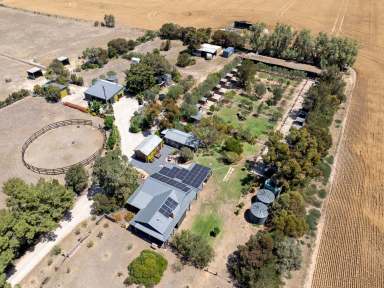 Farm For Sale - SA - Langhorne Creek - 5255 - DOG BREEDING, KENNELING, TRAINING, & GROOMING + HORSES.  (Image 2)