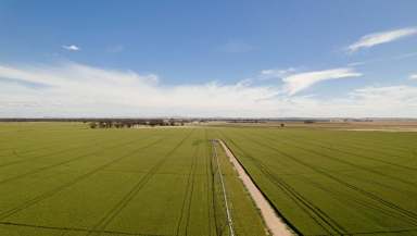 Farm For Sale - VIC - Girgarre - 3624 - Southern Aggregation AFF Portfolio  (Image 2)