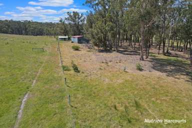 Farm For Sale - VIC - Won Wron - 3971 - 65 Acres of Grazing land  (Image 2)