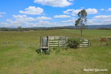 Farm For Sale - VIC - Won Wron - 3971 - 65 Acres of Grazing land  (Image 2)