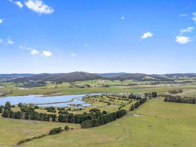 Farm For Sale - TAS - Forcett - 7173 - 52 Hectare Hidden Paradise  (Image 2)