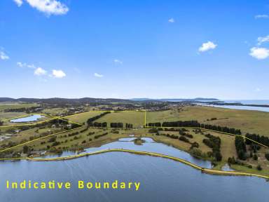 Farm For Sale - TAS - Forcett - 7173 - 52 Hectare Hidden Paradise  (Image 2)