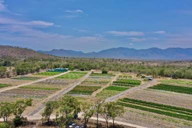 Farm For Sale - QLD - Oak Valley - 4811 - 40 Acres - OAK VALLEY - Potential Housing Lots - Town Water  (Image 2)