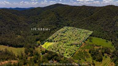 Farm For Sale - QLD - Bella Creek - 4570 - "Green and Clean" 2 Homes, 1 Property, Off Grid  (Image 2)