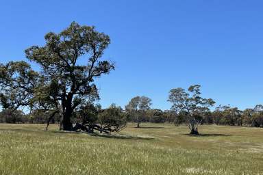 Farm For Sale - VIC - Chetwynd - 3312 - Weekend Retreat and possibly run some stock.  (Image 2)