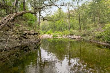 Farm For Sale - NSW - Currowan - 2536 - PEACE & TRANQUILITY ON 40 ACRES ~ Mountains, Creek & Grazing  (Image 2)