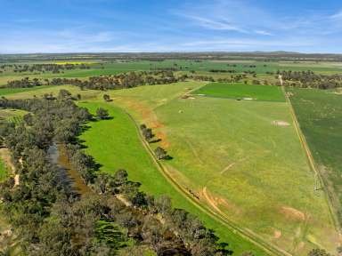 Farm For Sale - VIC - Axedale - 3551 - Prime Agricultural Holding with Stunning River Frontage: Campaspe Rocks Angus Stud  (Image 2)