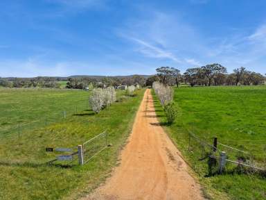 Farm For Sale - VIC - Axedale - 3551 - Prime Agricultural Holding with Stunning River Frontage: Campaspe Rocks Angus Stud  (Image 2)