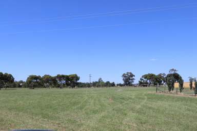 Farm For Sale - NSW - Temora - 2666 - WHY WAIT? BUILD YOUR DREAM NOW!  (Image 2)