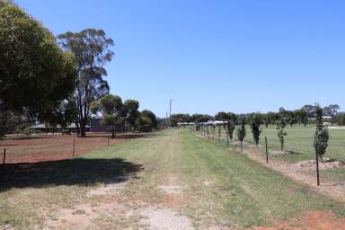 Farm For Sale - NSW - Temora - 2666 - WHY WAIT? BUILD YOUR DREAM NOW!  (Image 2)