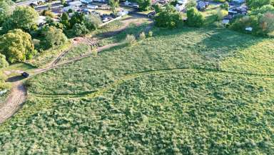 Farm For Sale - NSW - Wellington - 2820 - Backed by regional growth  (Image 2)