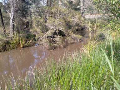 Farm For Sale - NSW - Myrtle Creek - 2469 - NED KELLY HIDEOUT  (Image 2)