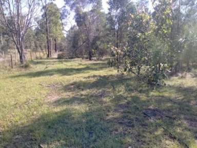 Farm For Sale - NSW - Myrtle Creek - 2469 - NED KELLY HIDEOUT  (Image 2)