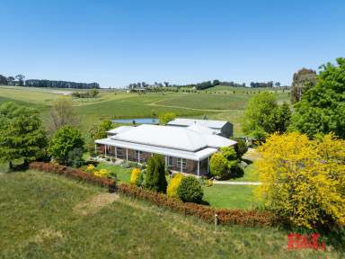 Farm For Sale - NSW - Oberon - 2787 - “Glengarry” OBERON (24 Ha - 59 Acres)  (Image 2)