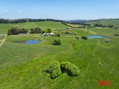 Farm For Sale - NSW - Oberon - 2787 - “Glengarry” OBERON (24 Ha - 59 Acres)  (Image 2)