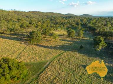 Farm Auction - QLD - Johnstown - 4615 - The Rarest of Opportunities - The Range Paddock - Prior offers highly considered  (Image 2)