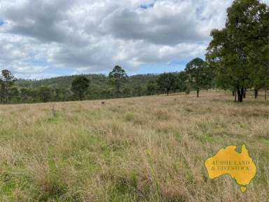 Farm Auction - QLD - Johnstown - 4615 - The Rarest of Opportunities - The Range Paddock - Prior offers highly considered  (Image 2)