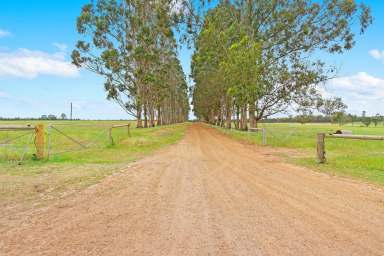 Farm For Sale - WA - Napier - 6330 - Napier Hill  (Image 2)