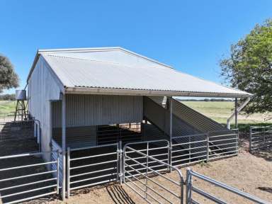 Farm For Sale - VIC - Jarklin - 3517 - PREMIER RURAL LAND JARKLIN “EVANS’ ”  (Image 2)