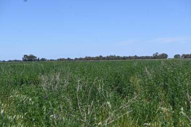 Farm For Sale - VIC - Jarklin - 3517 - PREMIER RURAL LAND JARKLIN “EVANS’ ”  (Image 2)