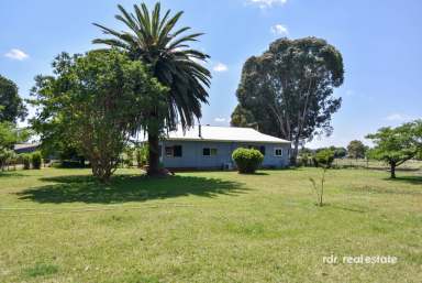 Farm For Sale - NSW - Inverell - 2360 - 4 HECTARES, 3 BEDROOMS, ENDLESS POTENTIAL  (Image 2)