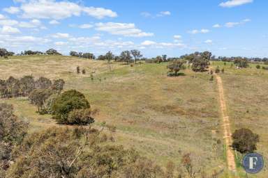 Farm Sold - NSW - Cootamundra - 2590 - Rare Acreage - Subdivision Potential  (Image 2)