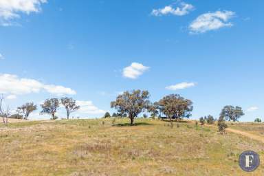 Farm Sold - NSW - Cootamundra - 2590 - Rare Acreage - Subdivision Potential  (Image 2)