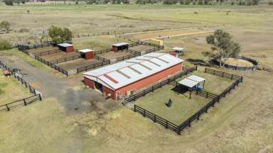 Farm For Sale - NSW - Scone - 2337 - Income producing - Equine ready.  (Image 2)